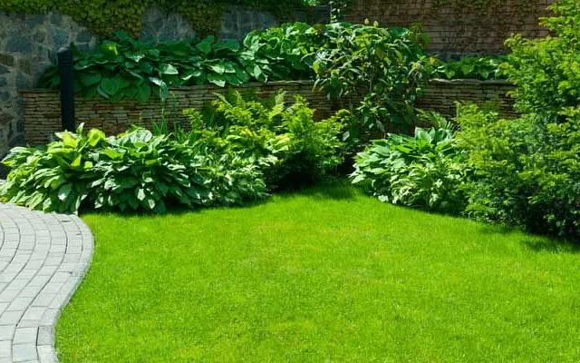 gardening